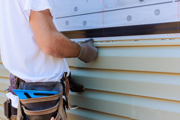 Affordable Emergency Siding Repair solutions in Woodridge, IL