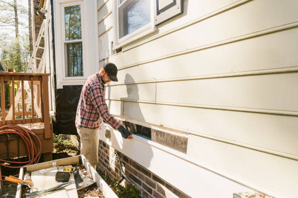 Top rated local Emergency Siding Repair specialists in Woodridge, IL